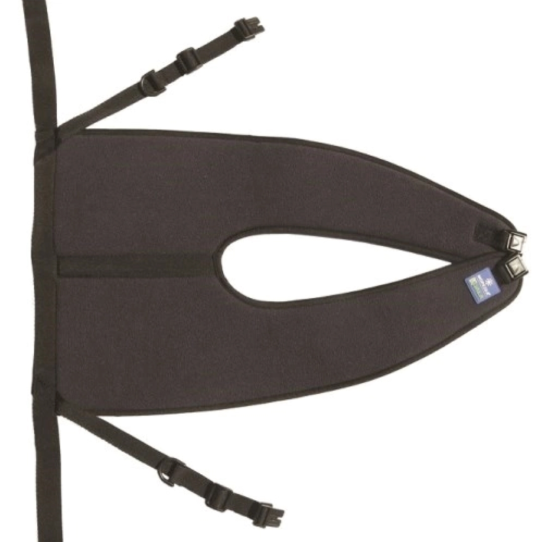 cintura pelvica